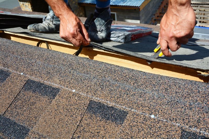 Asphalt Roof Leak Repair
