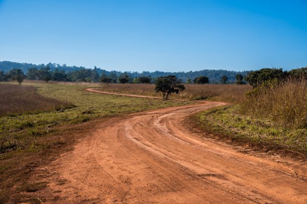 Dirt Driveway Repair in Camarillo