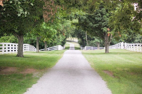 Gravel Driveway Construction in Camarillo