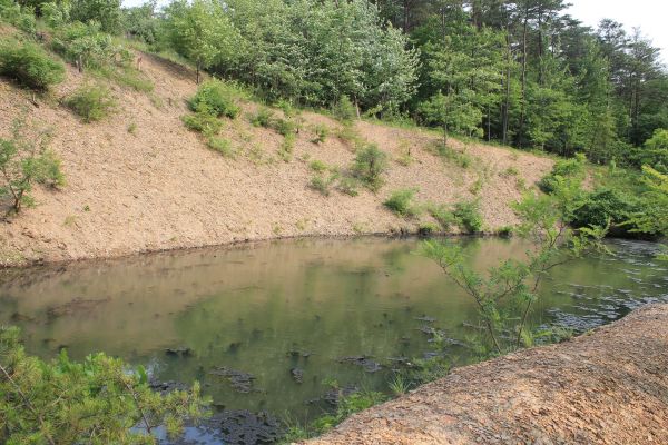 Pond Erosion Repair in Camarillo
