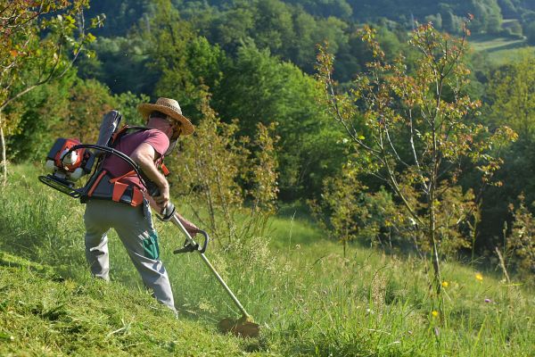Cost of Slope Trimming in Camarillo